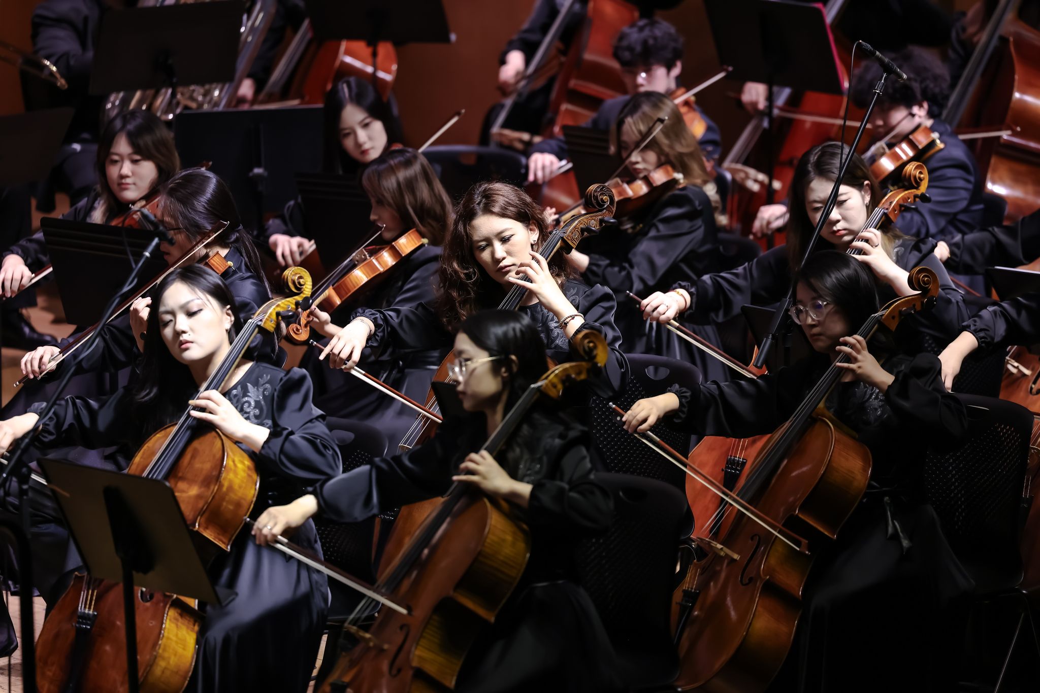 william威廉中文官网