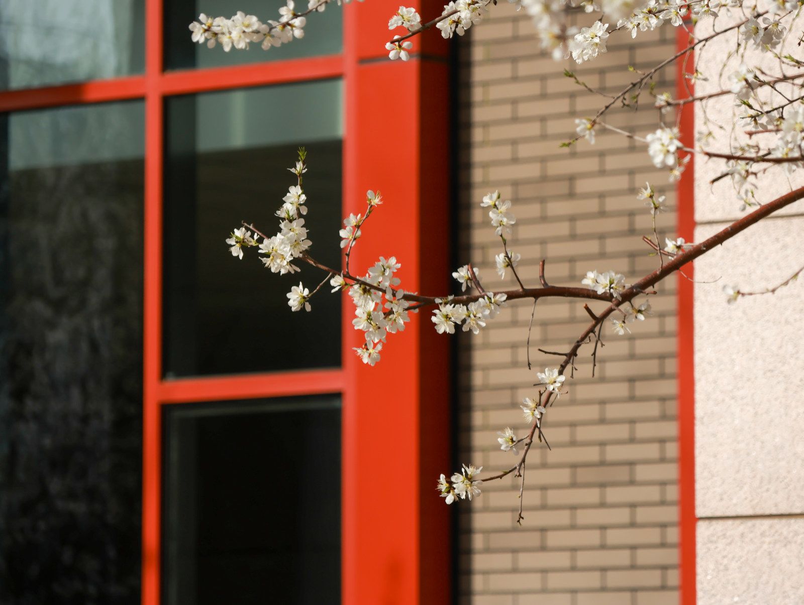 william威廉中文官网