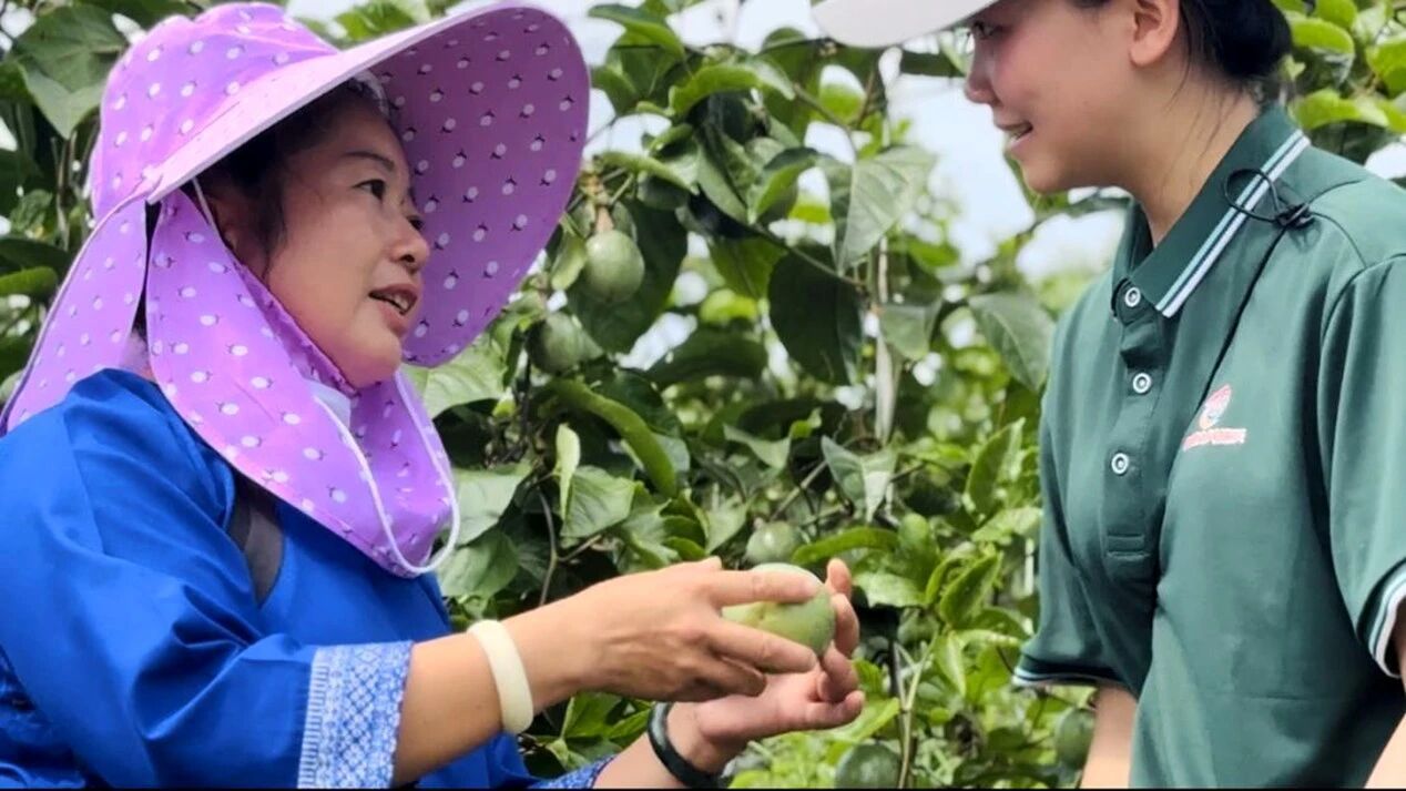 william威廉中文官网